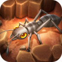 蚁族崛起无限资源版下载-蚁族崛起游戏安卓版v1.572