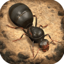 小小蚁国安卓版下载-小小蚁国游戏免费最新安卓版v1.34.0