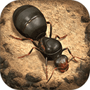 小小蚁国下载安装最新版-小小蚁国手游免费版v1.36.0